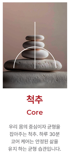 척추케어