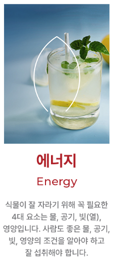 에너지케어