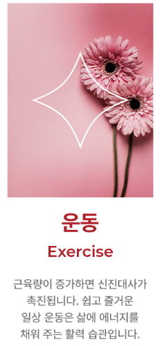 운동케어